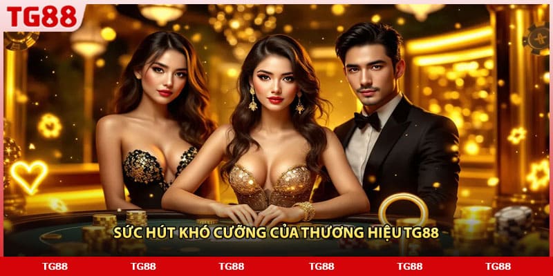 Sức hút khó cưỡng của thương hiệu TG88